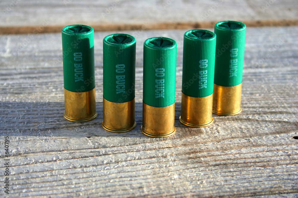 Photography 00 buck 2