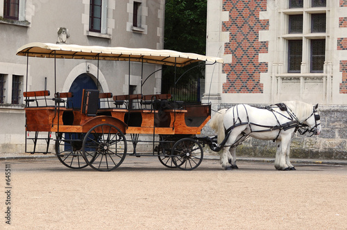 promenade en calèche