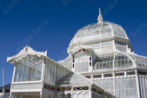 Photography house of flowers 2