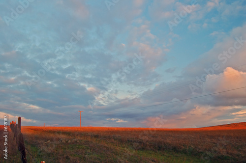 afternoon field