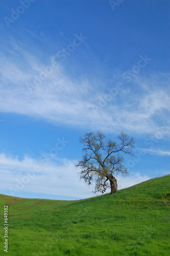 rural countryside