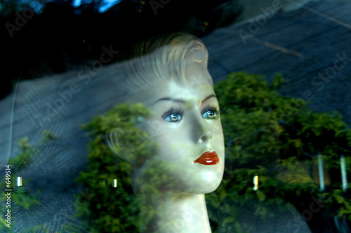 Canvas Print l'immobile