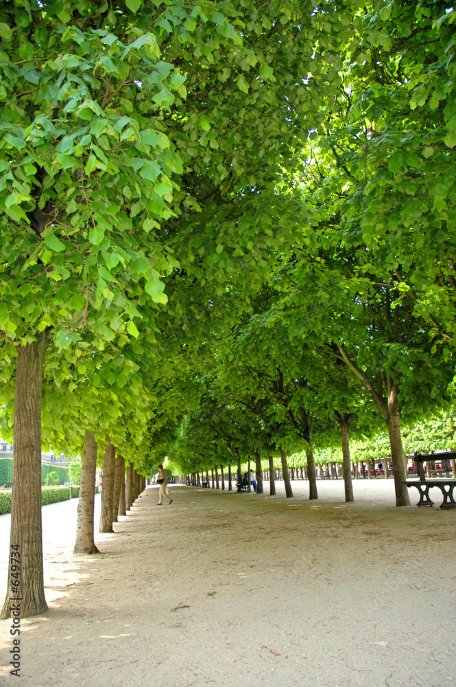 sous bois royal sous bois royal