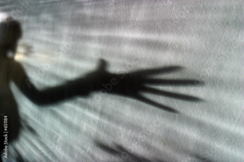 Slika na platnu shadow