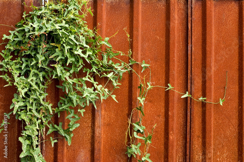 metal and plant photo