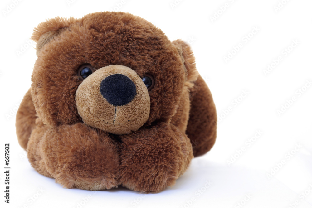 Obraz premium peluche