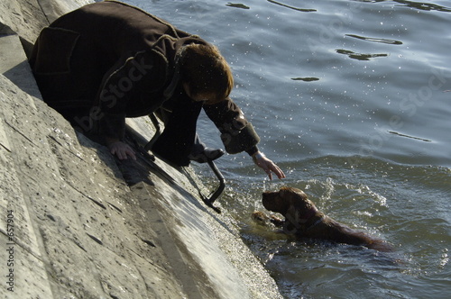 dog rescue