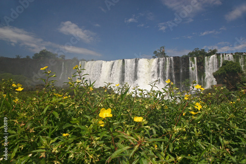flower and falls