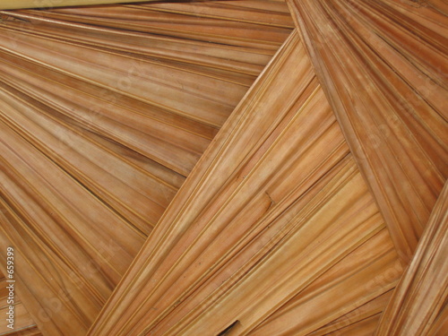 coco palm