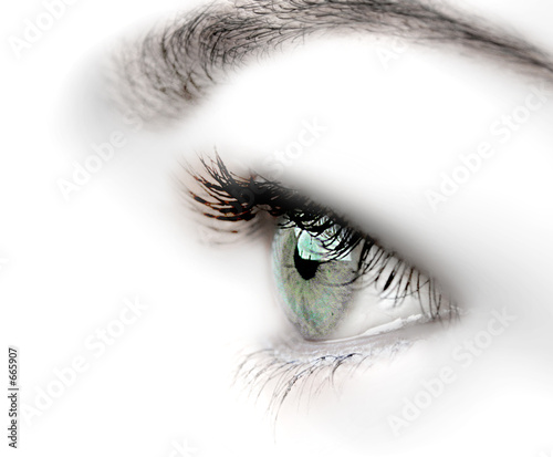 oeil