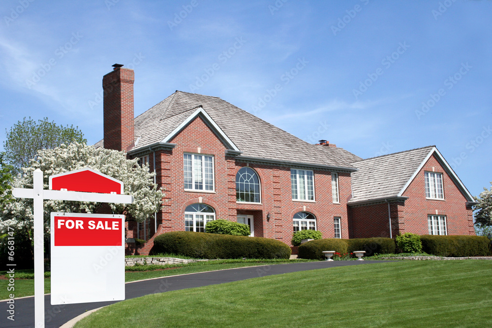 Wall Mural house for sale