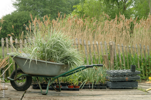travaux de jardinage