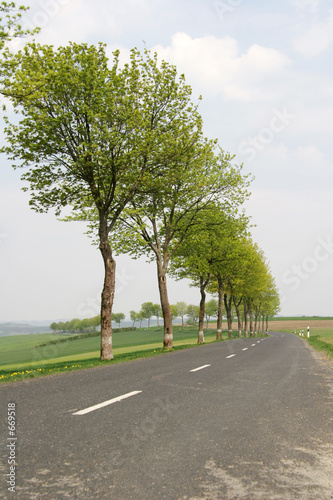 spring route