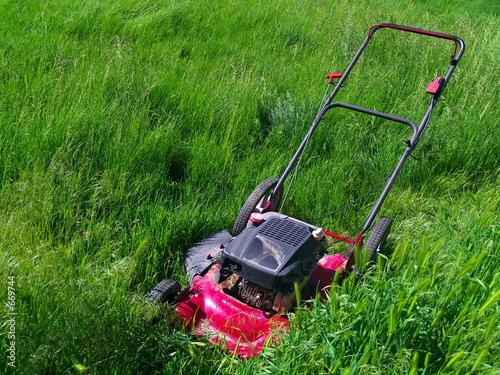 lawn mower in extremely long grass