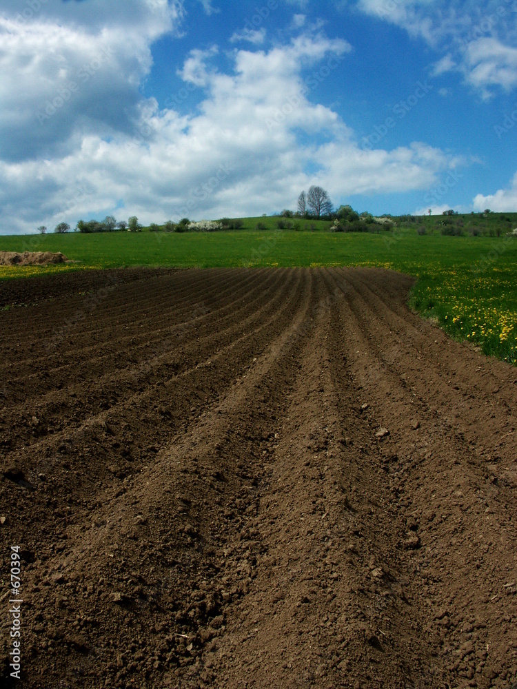 feld feld