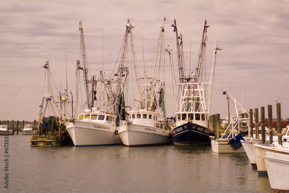 fishing vessels docked