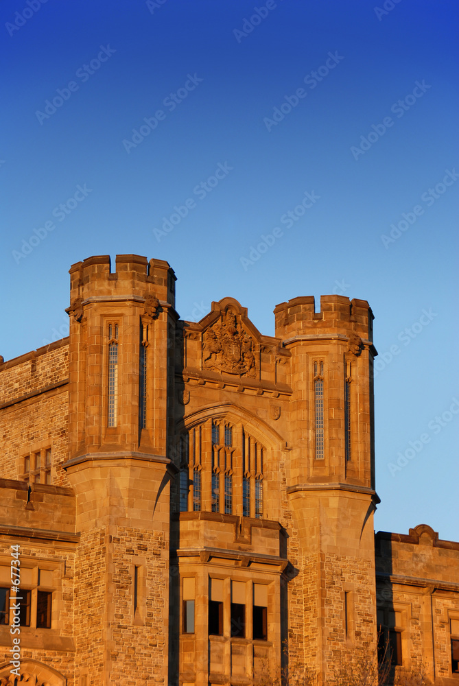 Fototapeta premium castle