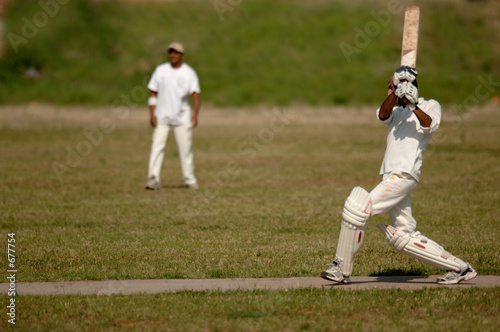 english cricket match © Michael Flippo