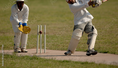 Obraz na plátně english cricket match