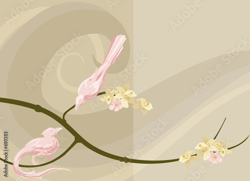 dove background.