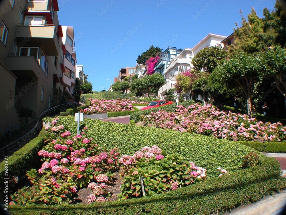 Fototapeta lombard street, the crookedest street in the world