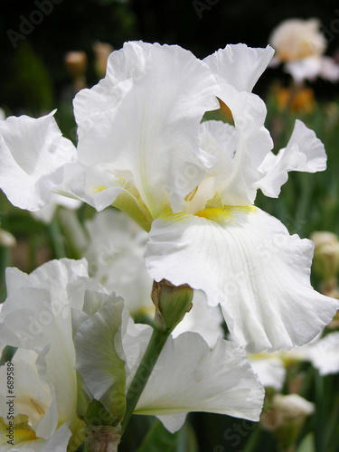 flower07051906