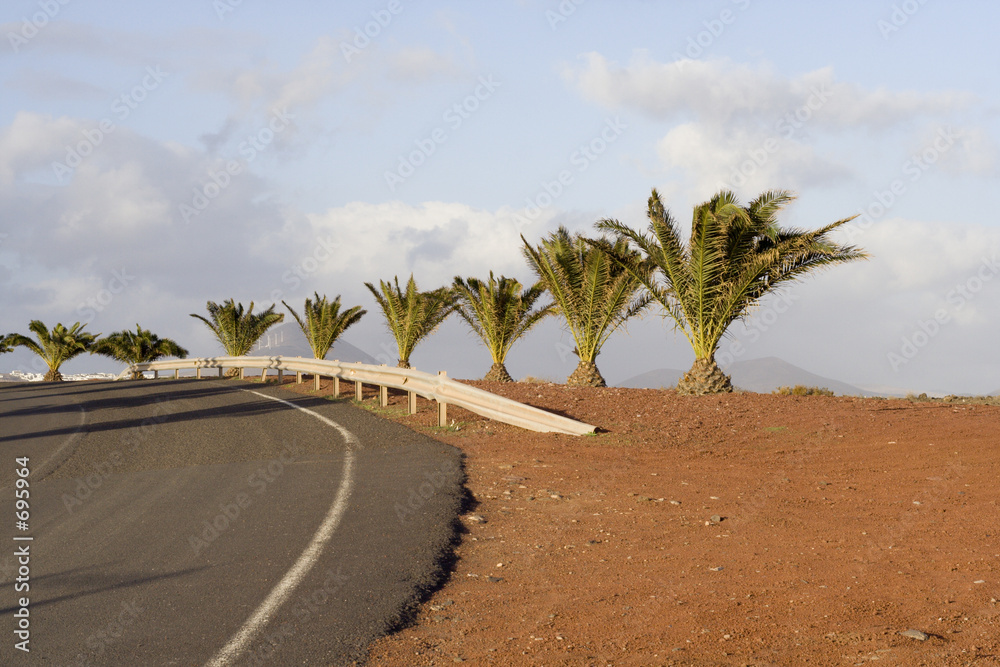 palms and crash barrier