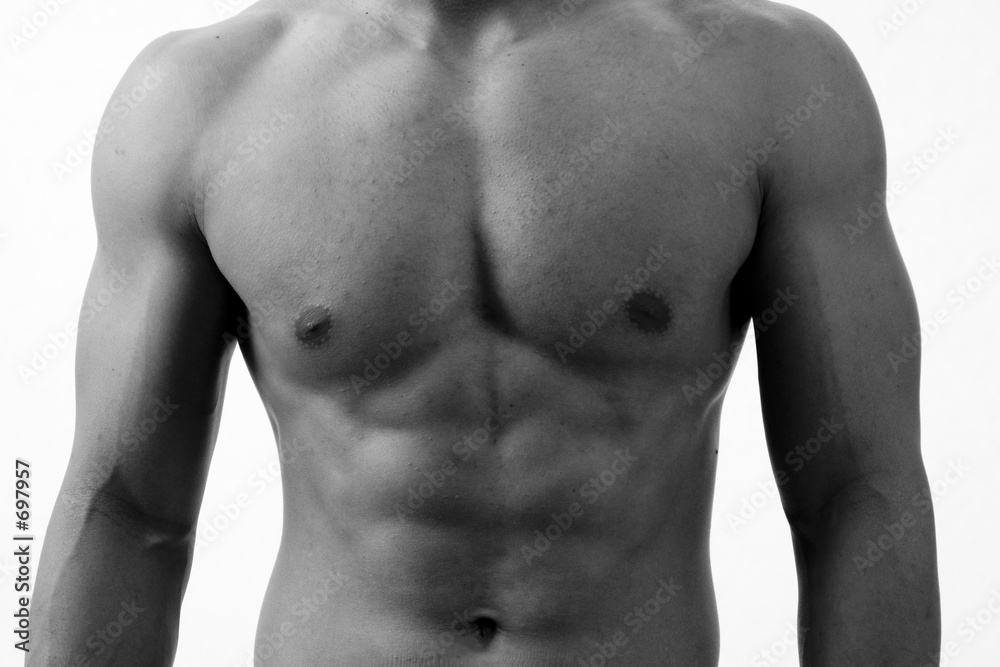 monochrome torso monochrome torso