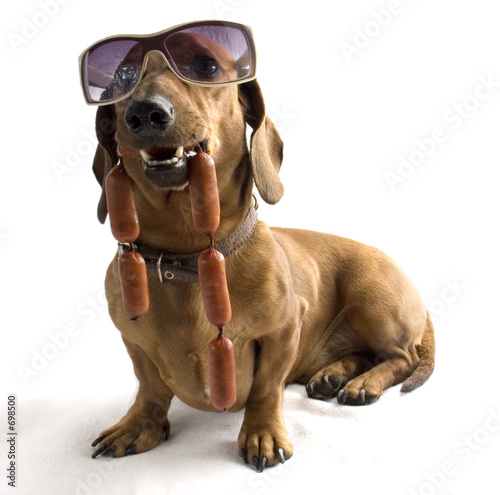 hund und wurstchen photo