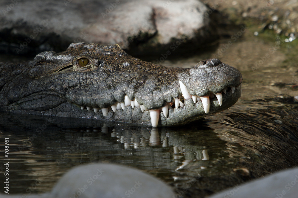 Obraz premium am abgrund