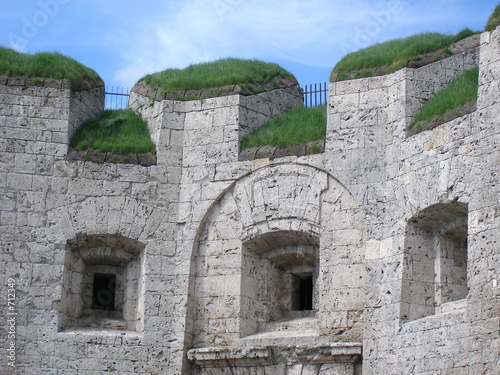 mauer mit zinnen und grasbewuchs