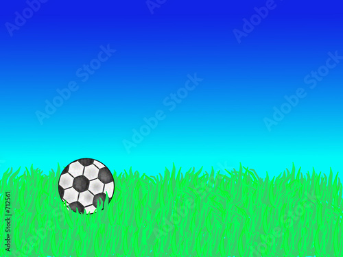 football on the field illustration
