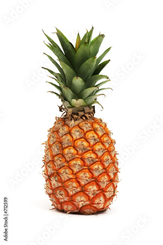 pineapple #712599