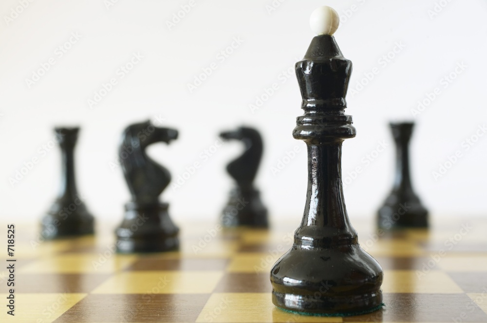 chess queen chess queen