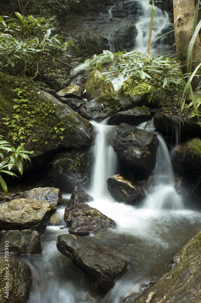 Fototapeta premium falls