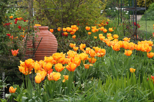 tulips with urn