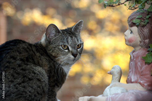 katze mit figur photo