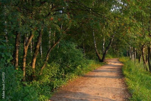 summer evening path