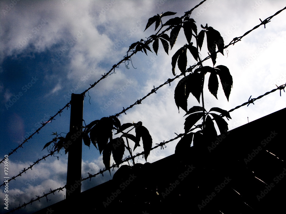 stacheldraht überwinden StockFoto Adobe Stock