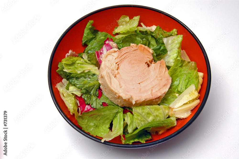 salad with tuna salad with tuna