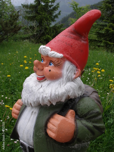 großaufnahme wandernder gartenzwerg im grünen