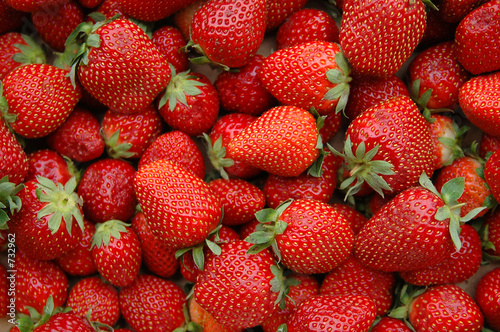 plateau de fraises photo