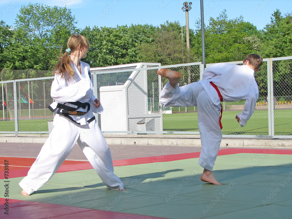 taekwon-do taekwon-do