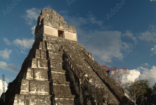Obraz na płótnie mayan temple in tikal