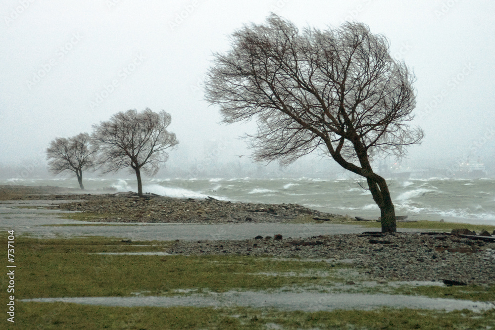 Quadro su tela storm