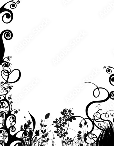 bw foliage border