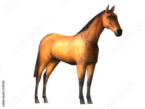 cheval