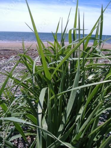 plage beaubassin