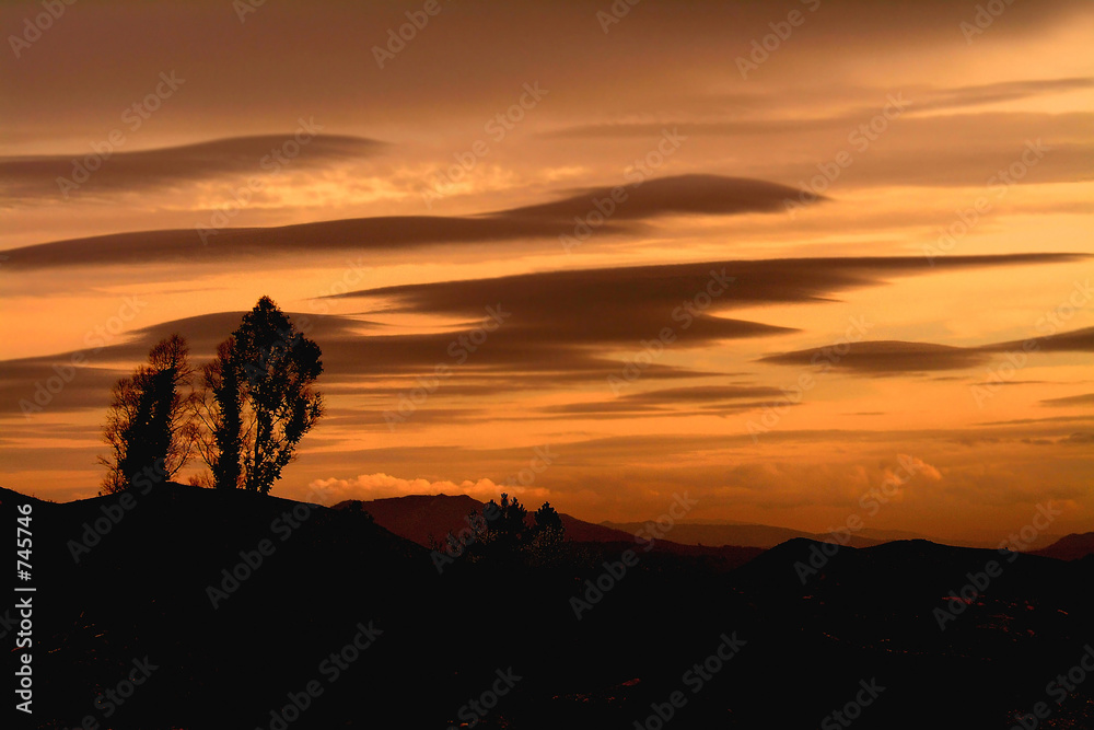 moutain tree at sunset