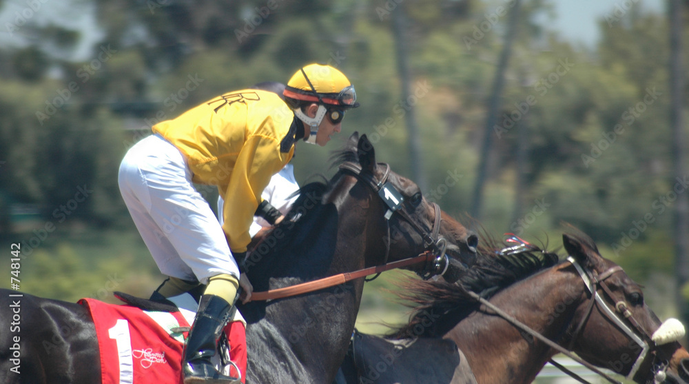 race horse & jockey race horse & jockey